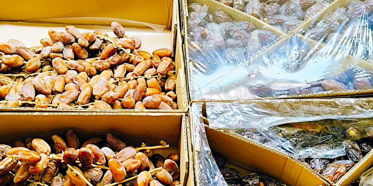 El dátil, el superalimento del Ramadán