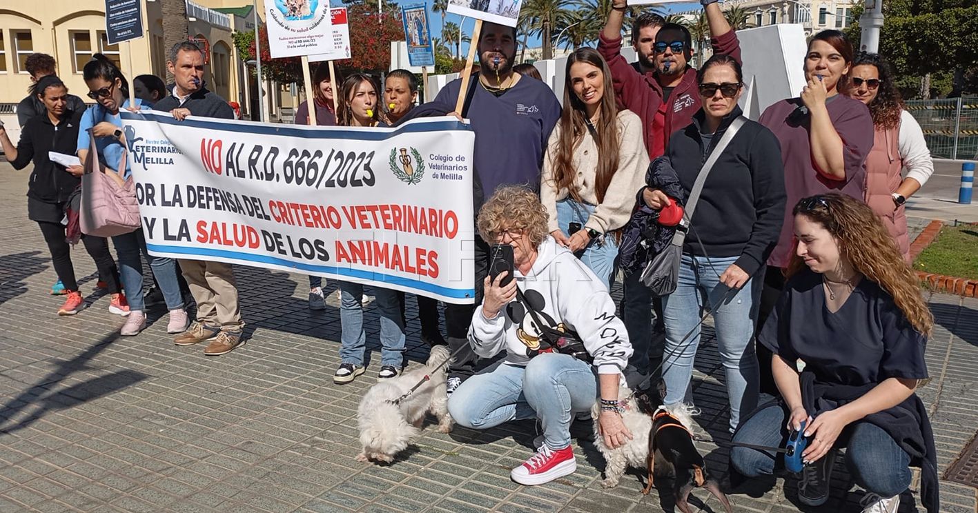 Los veterinarios protestan contra la norma que les "coarta" su libertad de prescripción