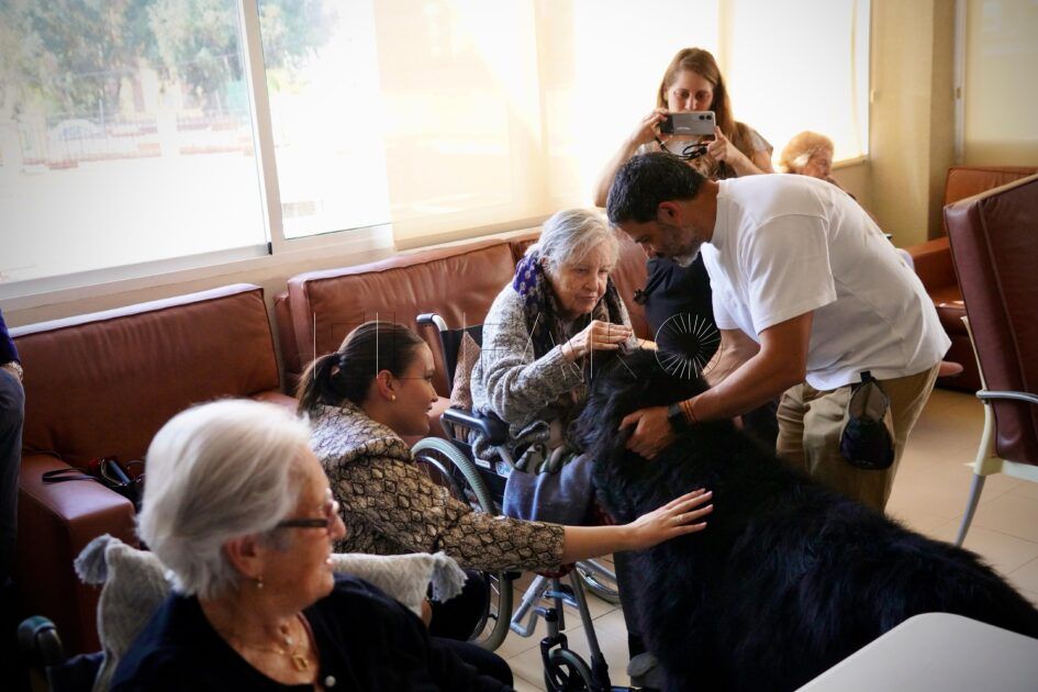 Terapia con perros