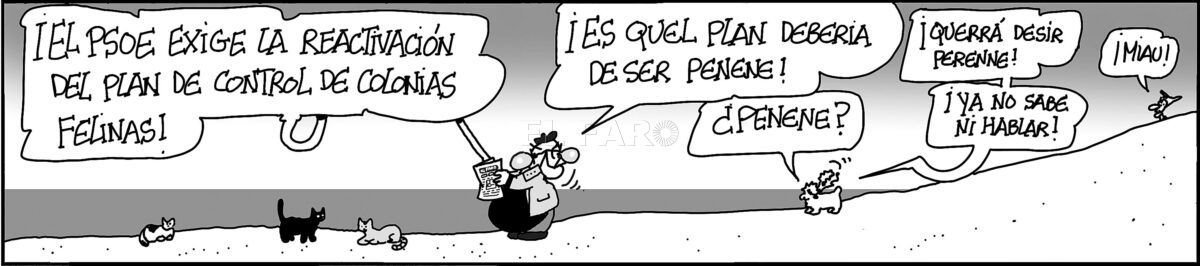 Sábado, 12 de Abril de 2025