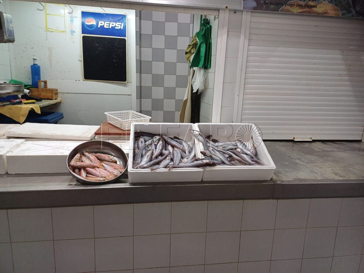 Los pescaderos del Mercado Central, en una situación límite