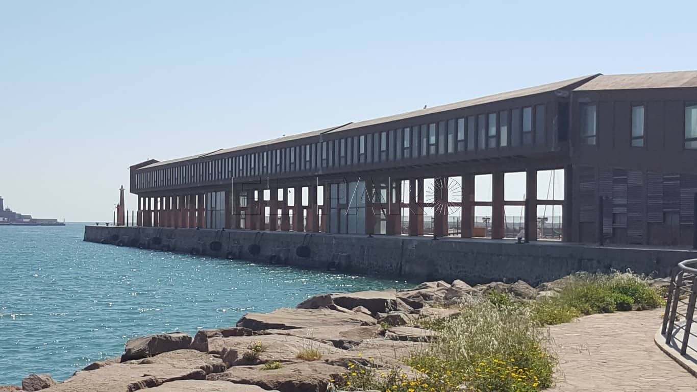 Cargadero del Mineral