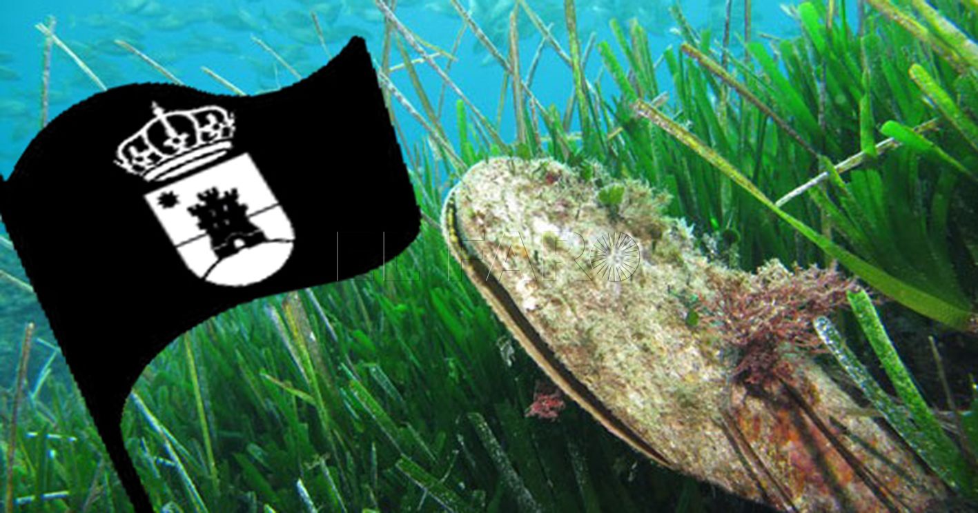 Semana de la Posidonia y la bandera negra