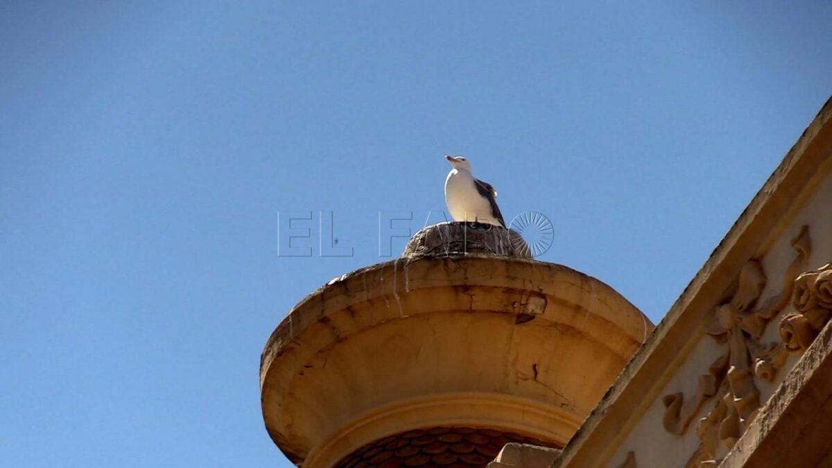 Los vecinos del centro demandan soluciones a la contaminación acústica