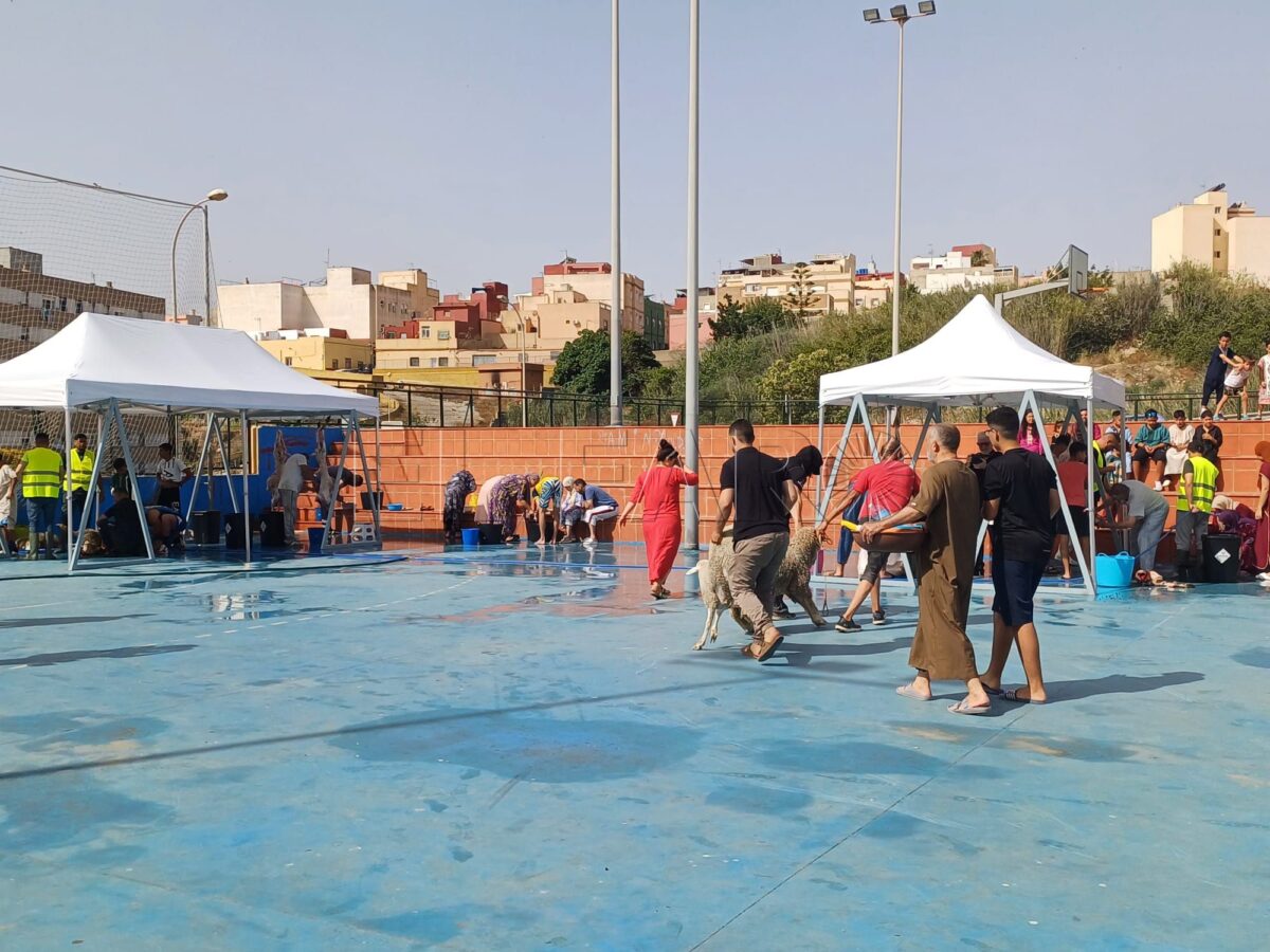 Melilla registra la mitad de sacrificios de borregos que en años anteriores