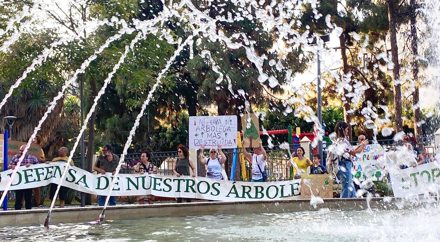 Guelaya vuelve a alzar la voz: "Están destruyendo nuestro patrimonio arbóreo centenario"