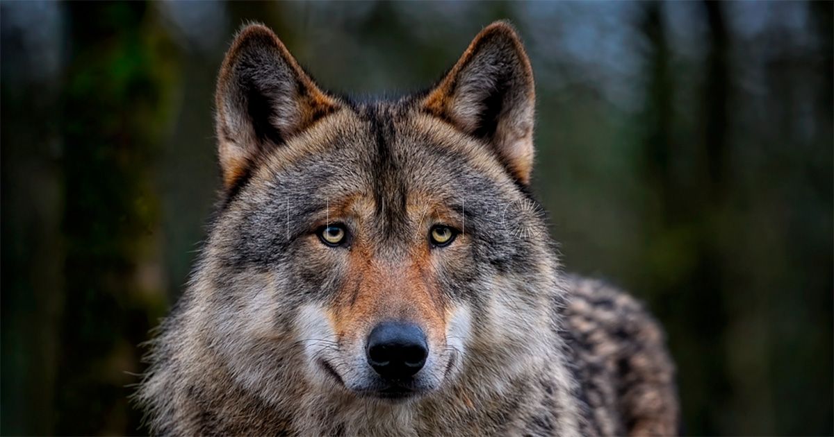 Las comunidades del PP exigen la convocatoria de una Conferencia Sectorial de Medio Ambiente urgentemente