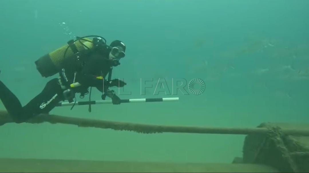 Los guardianes del fondo marino contra el ‘estercolero’ de Galápagos