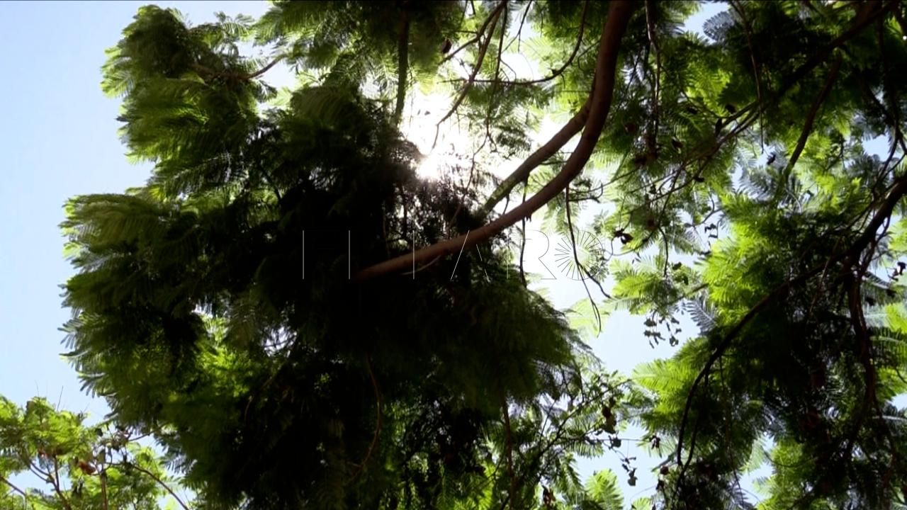 Previsión del tiempo: domingo 3 de agosto