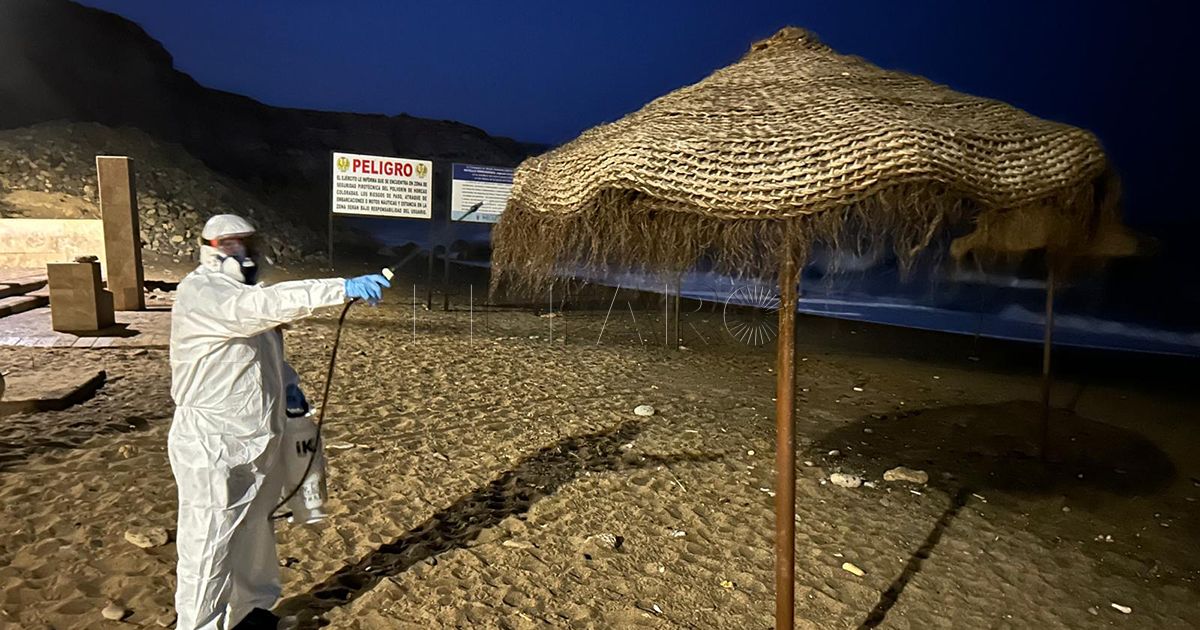 La Ciudad realiza un tratamiento preventivo de las plagas en las playas de Melilla