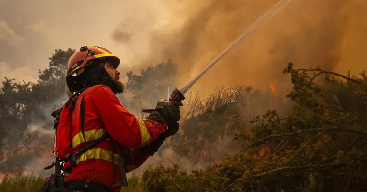 Los incendios de este verano y la biomasa