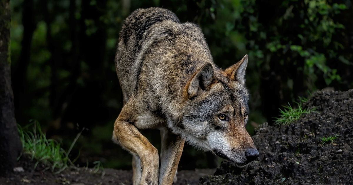Las autonomías del PP piden la dimisión del secretario de Estado de Medio Ambiente