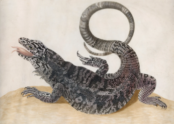 La mujer y la ciencia: igualdad como asignatura pendiente