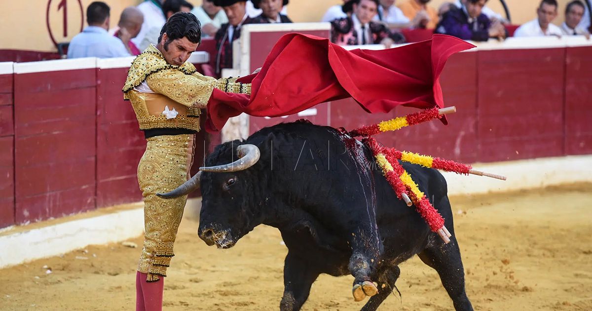 Morante de la Puebla ultima su recuperación con los ojos puestos en reaparecer en Melilla