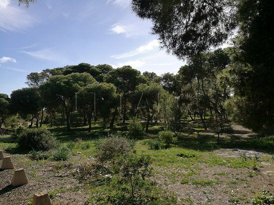 Melilla, a salvo de los grandes incendios en plena ola de calor que asfixia a España