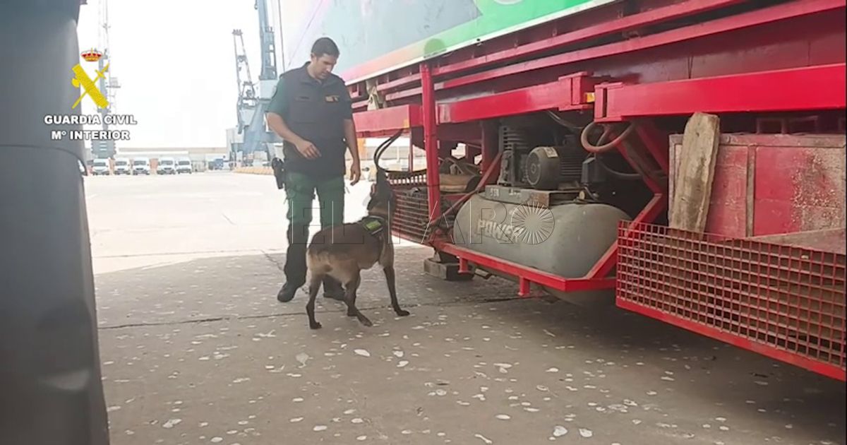 La Delegación del Gobierno reúne a las FyCSE para analizar los dispositivos de verano y Feria