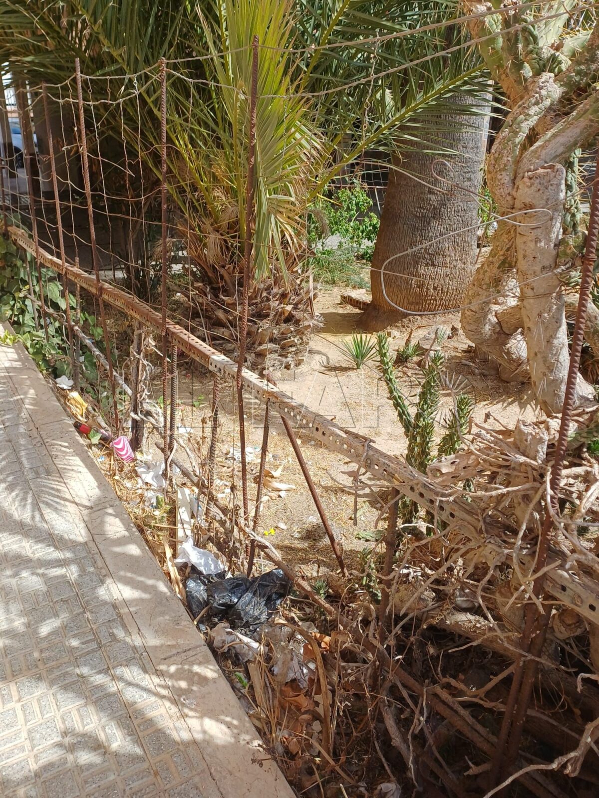 Los informadores medioambientales estarán en las calles a partir de los próximos meses