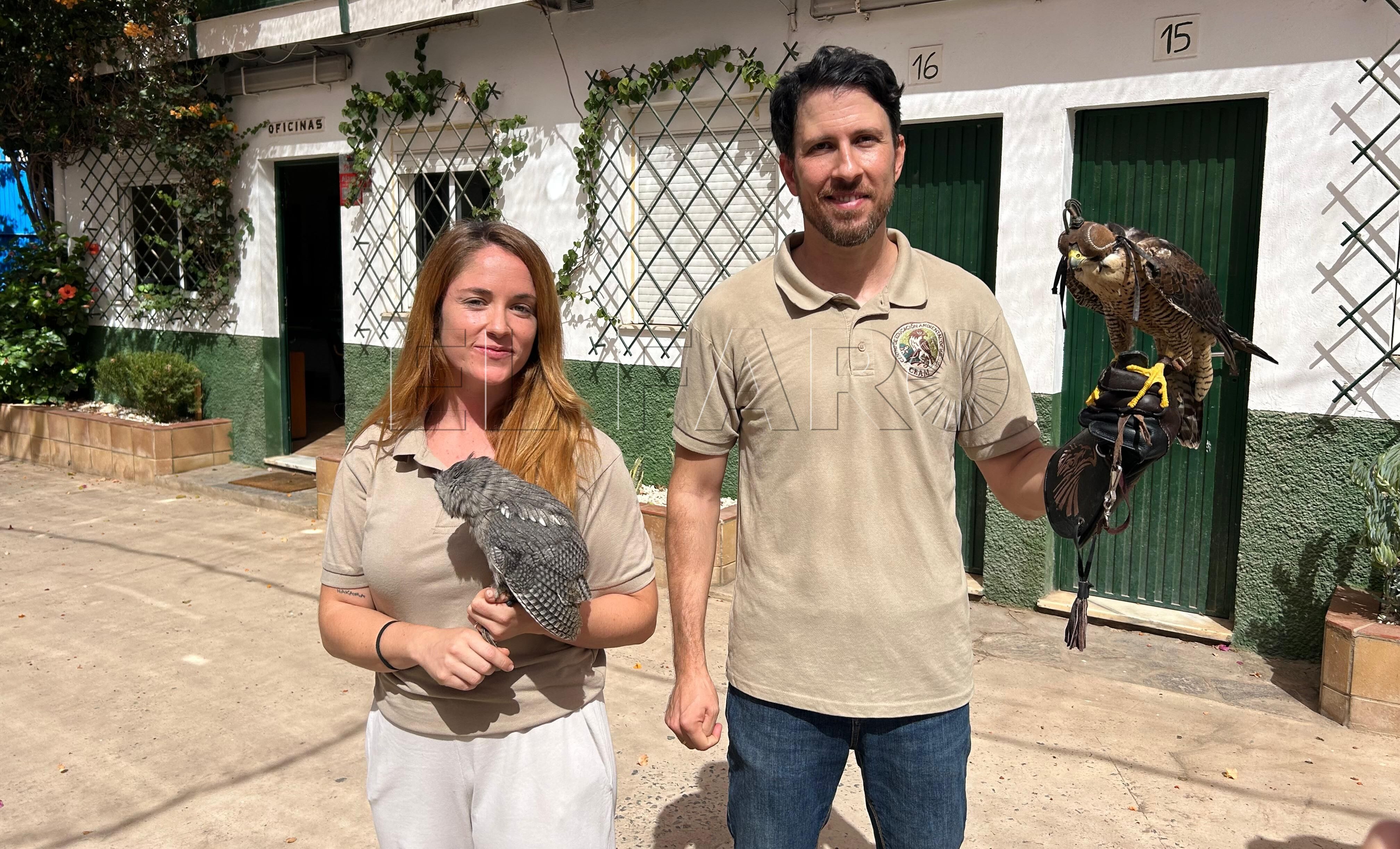 El Centro de Educación Ambiental arranca con un taller de aves rapaces