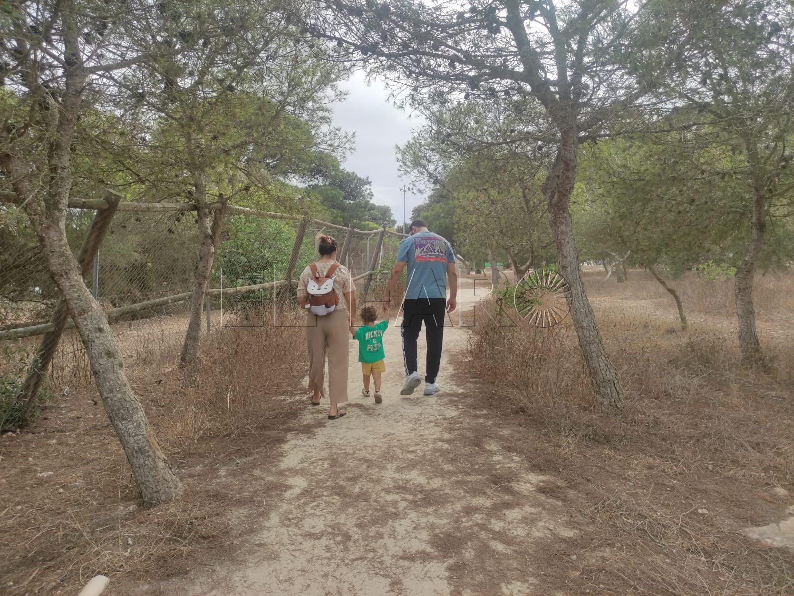 Con el fin del verano, los Pinos vuelven a avivarse