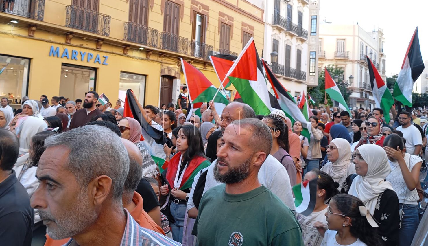 Cientos de personas secundan la manifestación en apoyo a Gaza