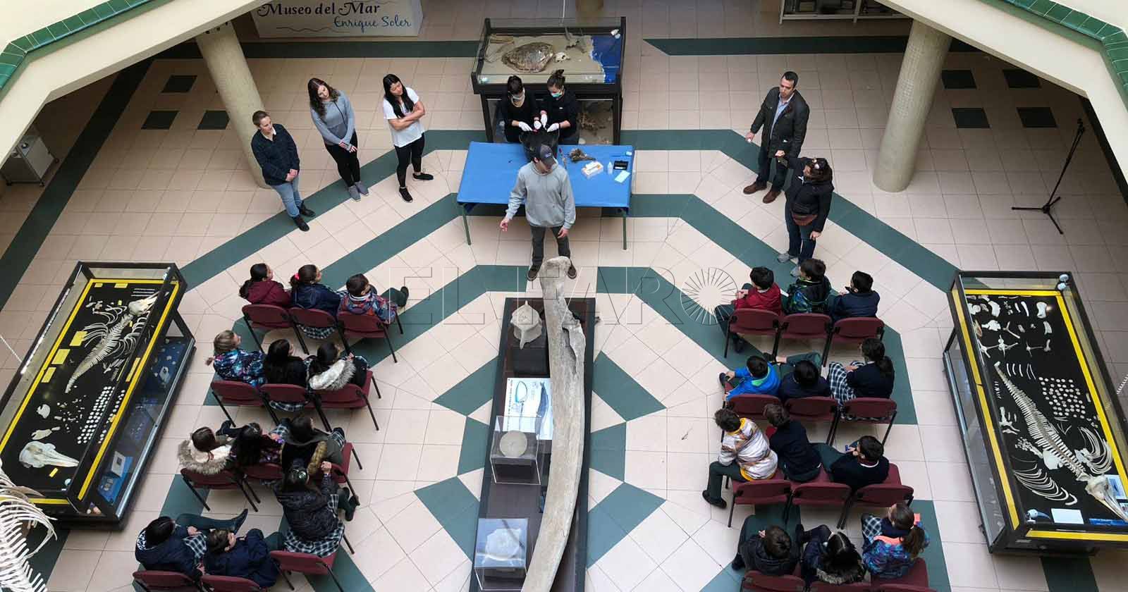 Tasa de abandono escolar