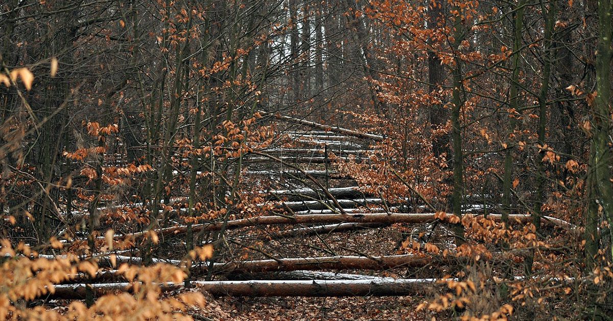 Las contrariedades como ejercicio