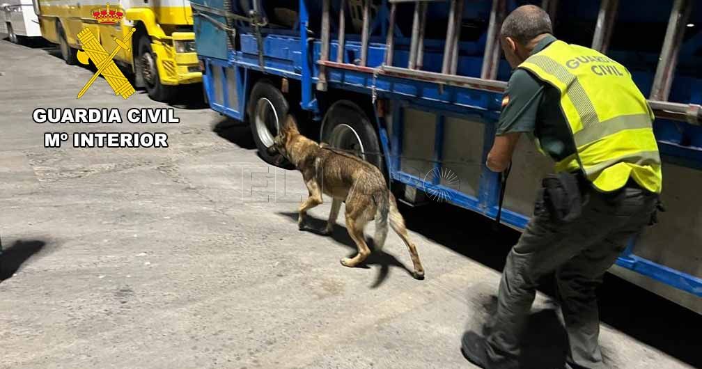 Refuerzo de la vigilancia en el puerto