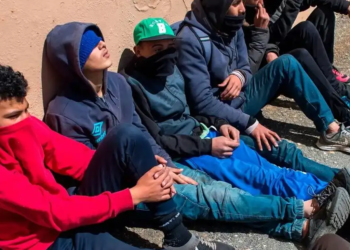 Críticas de Caminando Fronteras