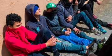 Críticas de Caminando Fronteras