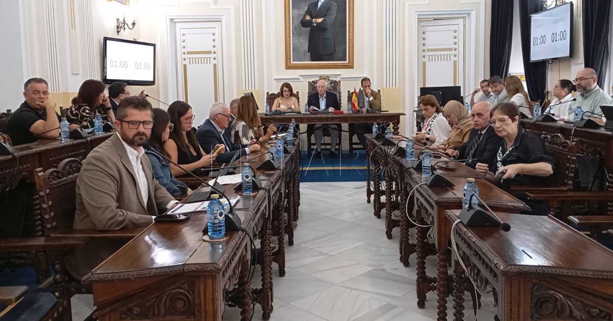 El pleno aprueba la construcción de dos campos de fútbol 11 y dos de fútbol 7