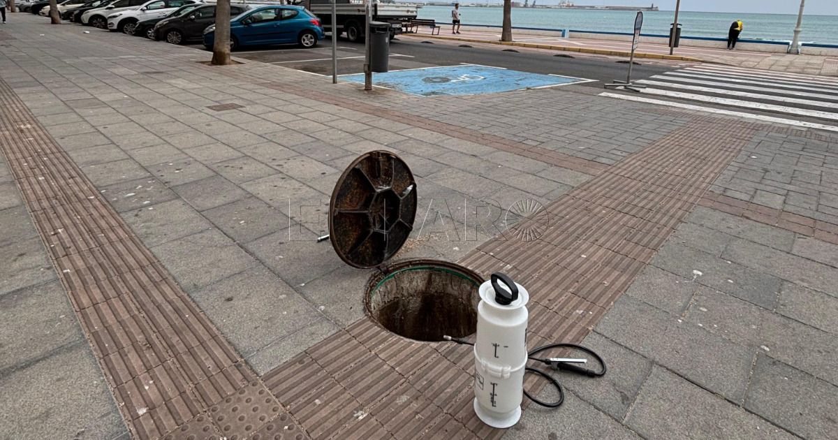 La Ciudad hace balance del control de plagas durante el mes de septiembre