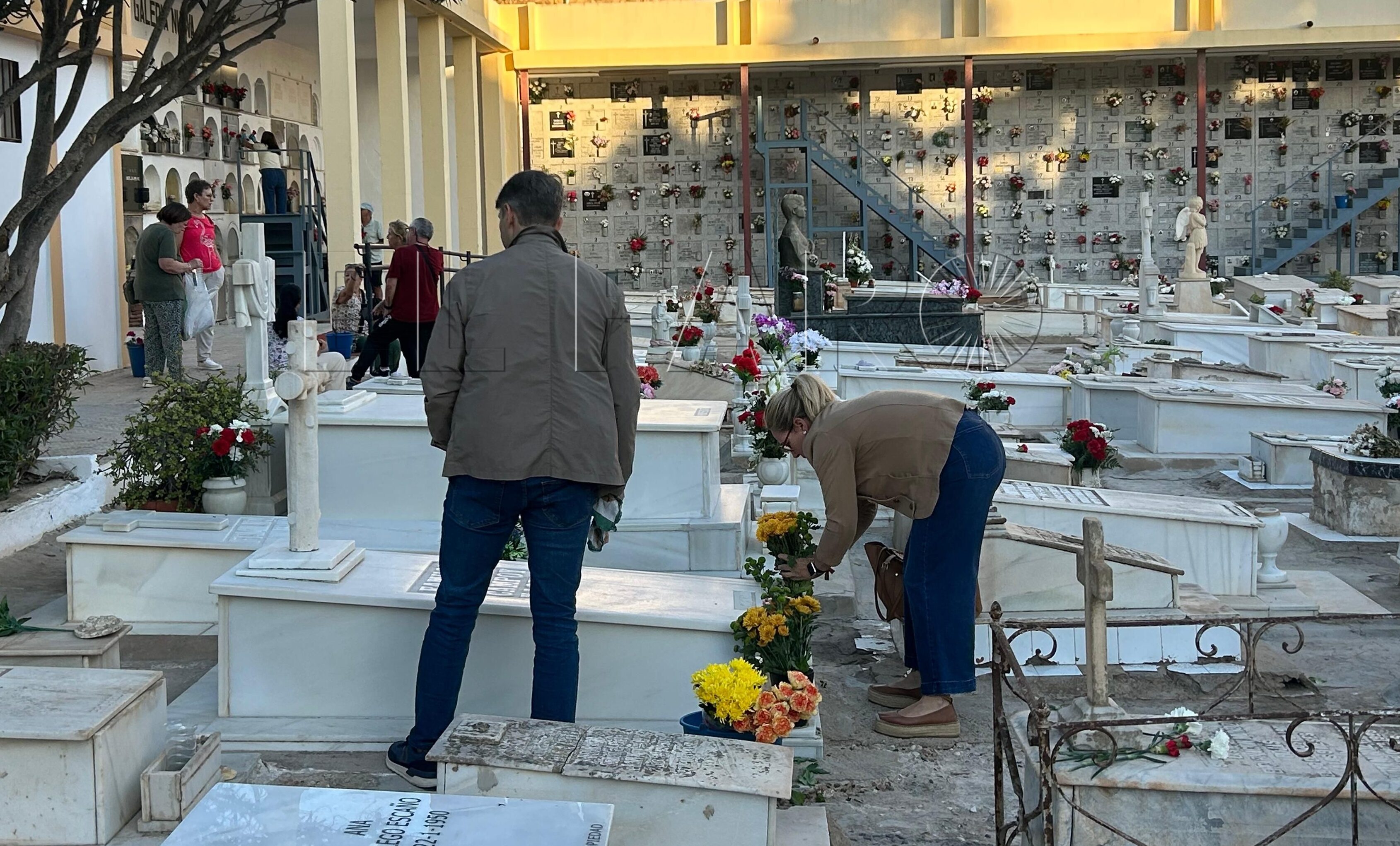 La crónica de un cementerio que despierta en noviembre