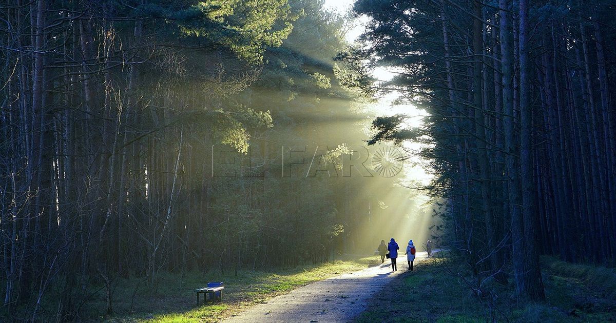 La efímera República del Rif y el símbolo de la independencia y ...