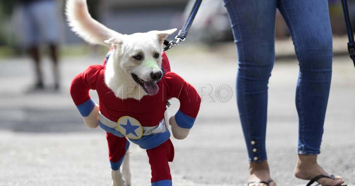 Parque Murias este fin de semana