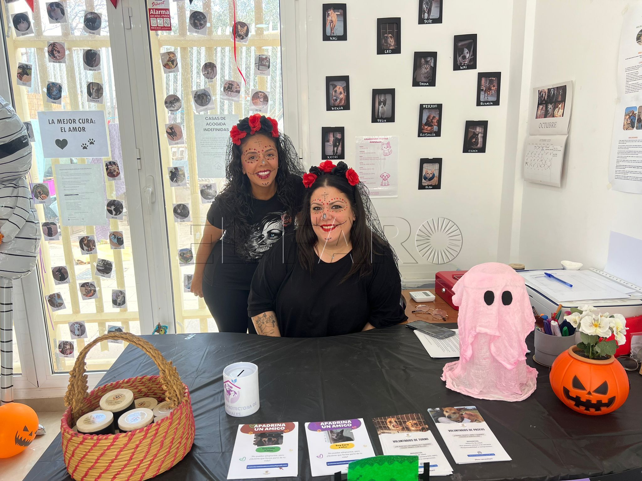 La Protectora de Animales de Melilla celebra Halloween con una jornada solidaria llena de actividades