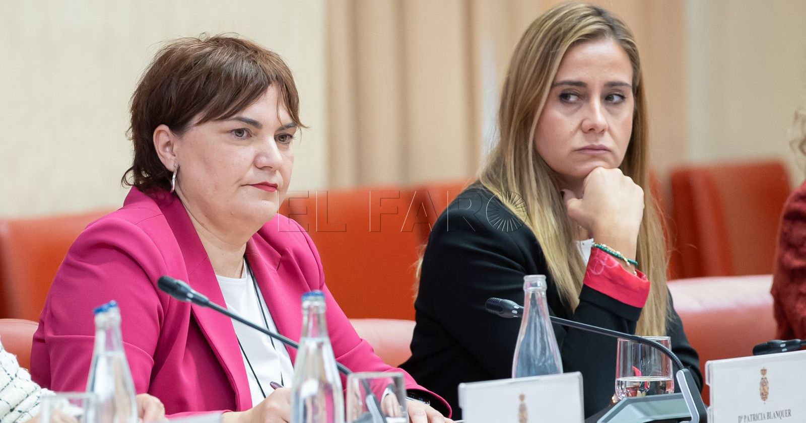 Portavoz adjunta del PP en el Congreso