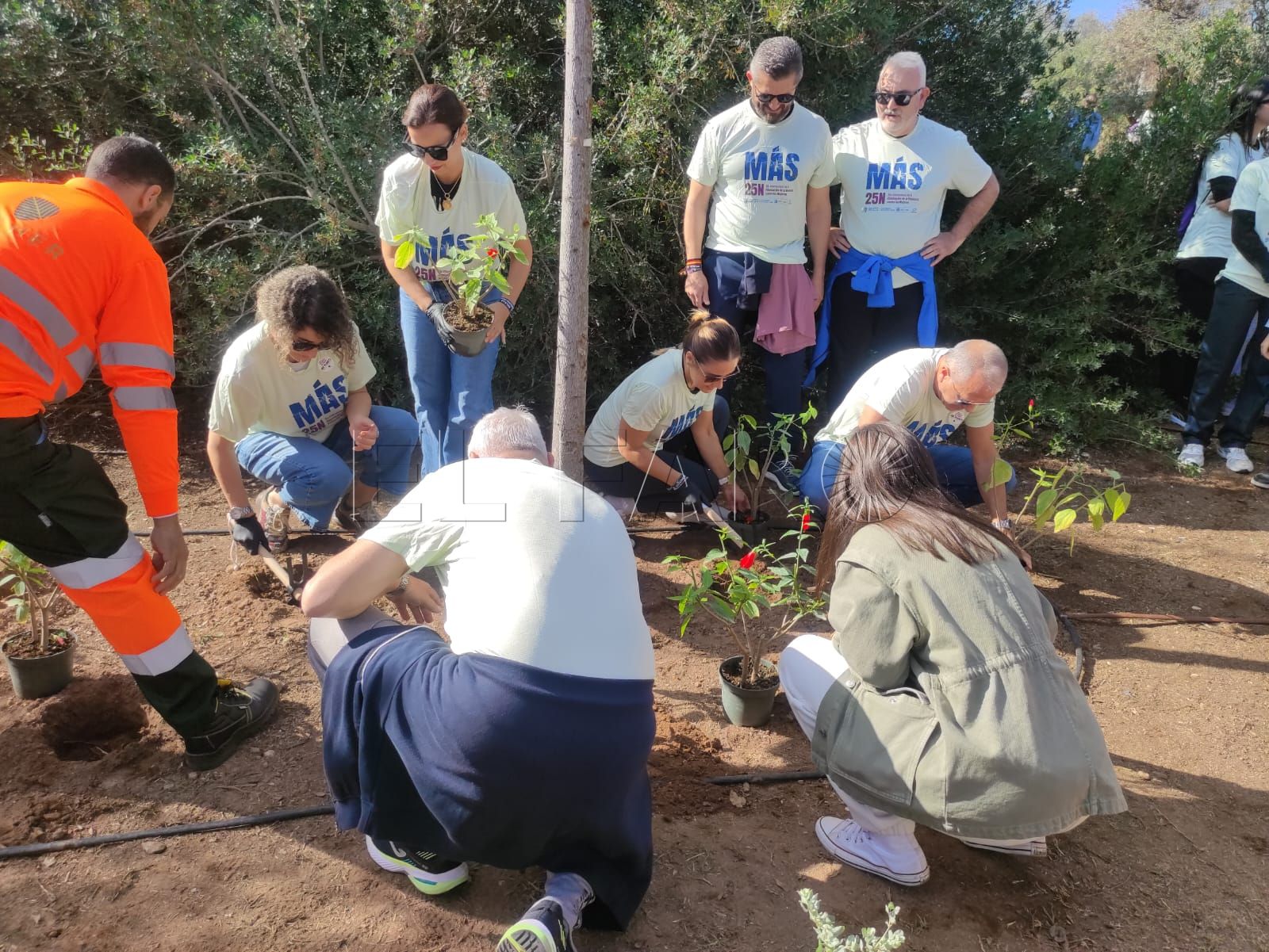 “Me planto”: Melilla trasplanta flores como gesto colectivo contra la violencia machista