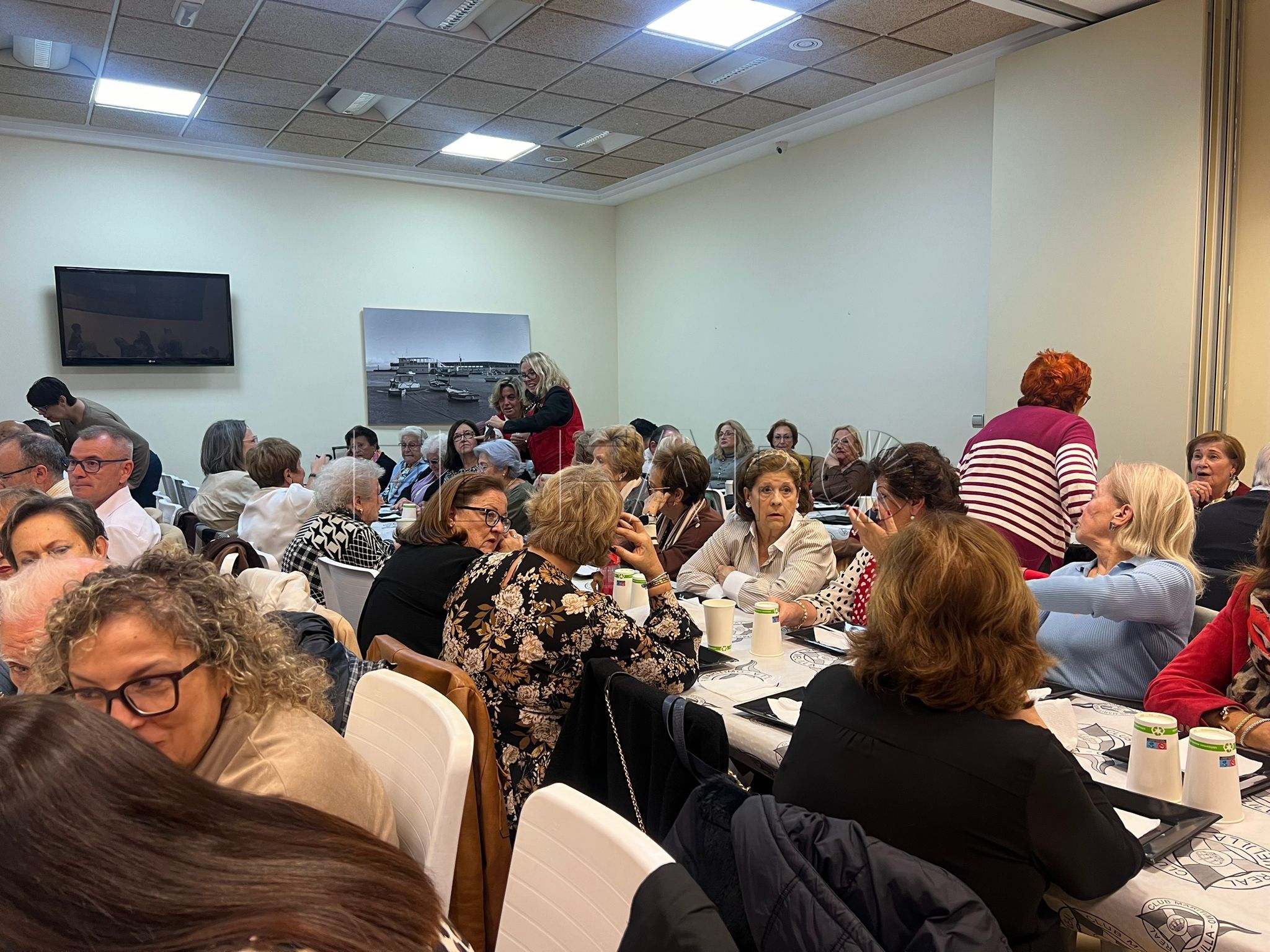 Cáritas Castrense organiza una multitudinaria merienda solidaria