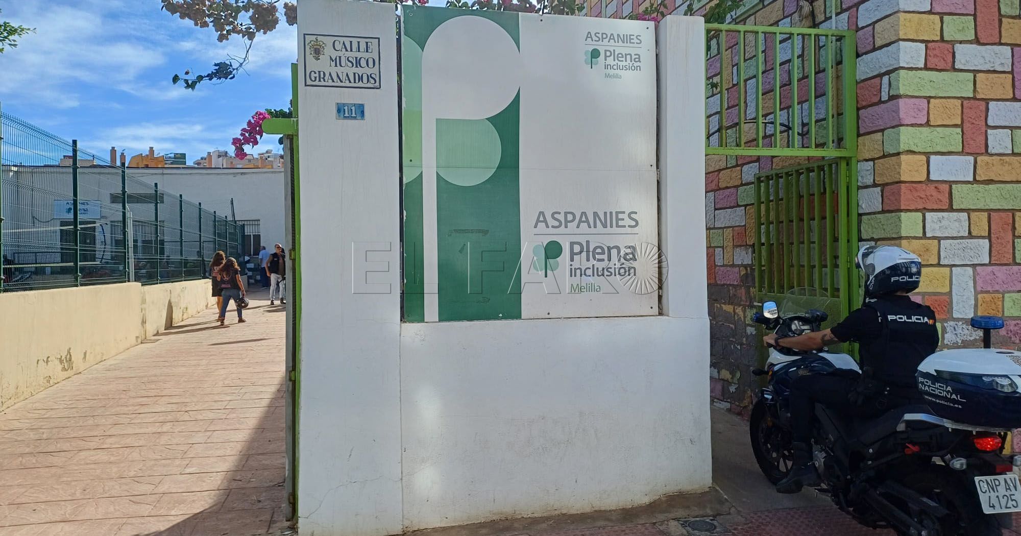 Discapacidad intelectual