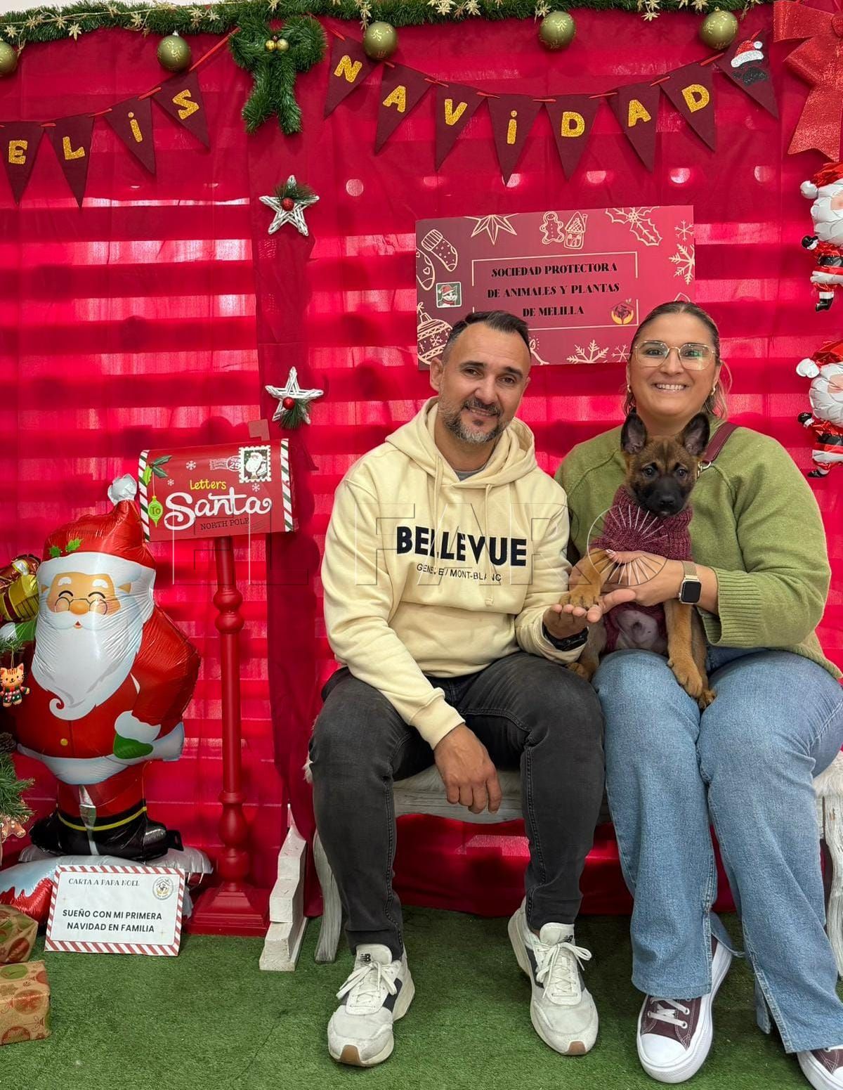 La Protectora de Animales arranca sus actividades navideñas