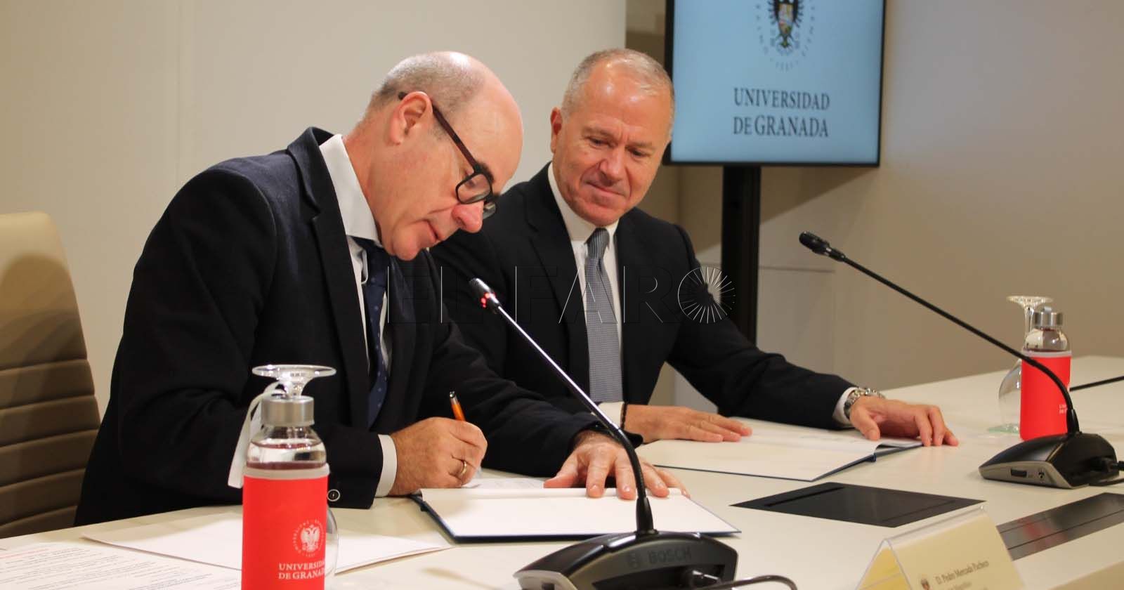 Creación de la Cátedra de IA