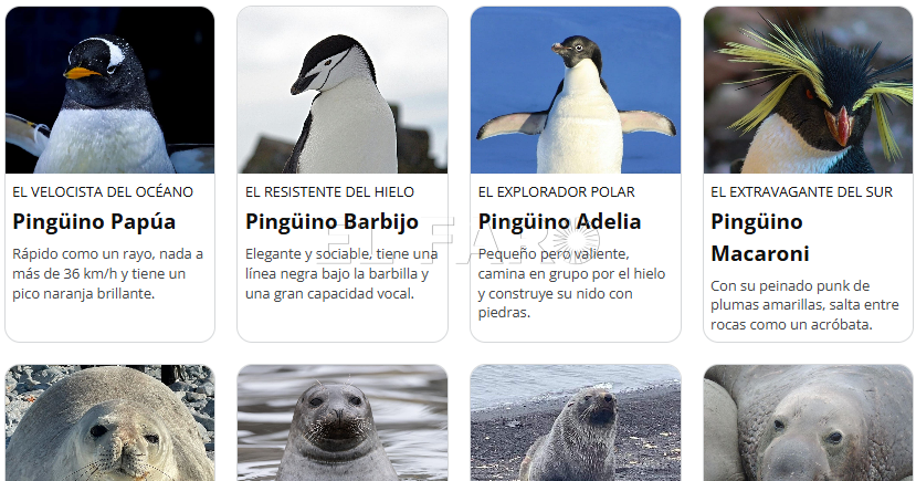 Campaña Comandancia General Melilla