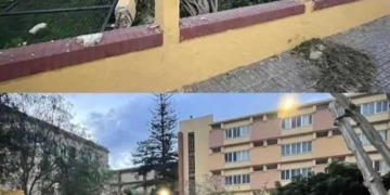 Leopoldo Queipo Melilla