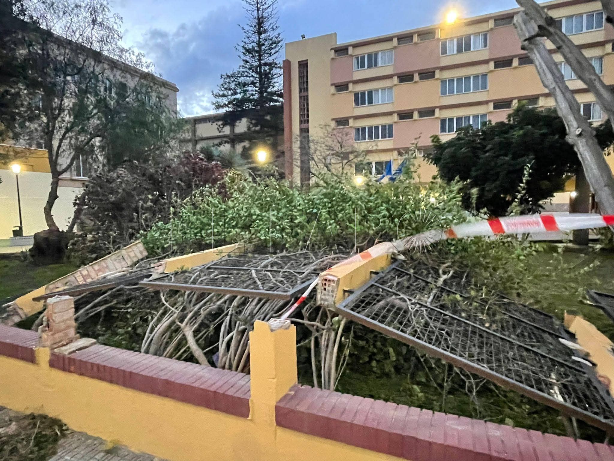 Desprendimiento por viento en el Leopoldo Queipo.
