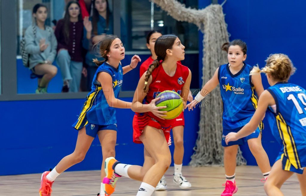 Todo listo para la celebración del Torneo Preinfantil FMB 2026