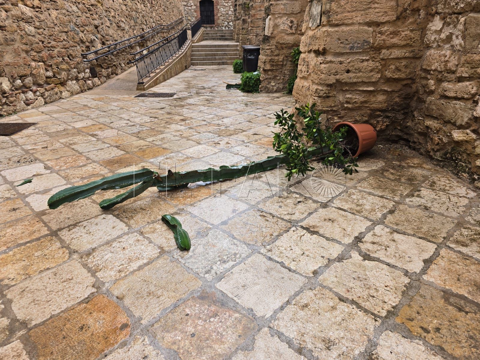 La Casa Regional de Ceuta en Melilla denuncia nuevos actos vandálicos en su sede de Melilla la Vieja