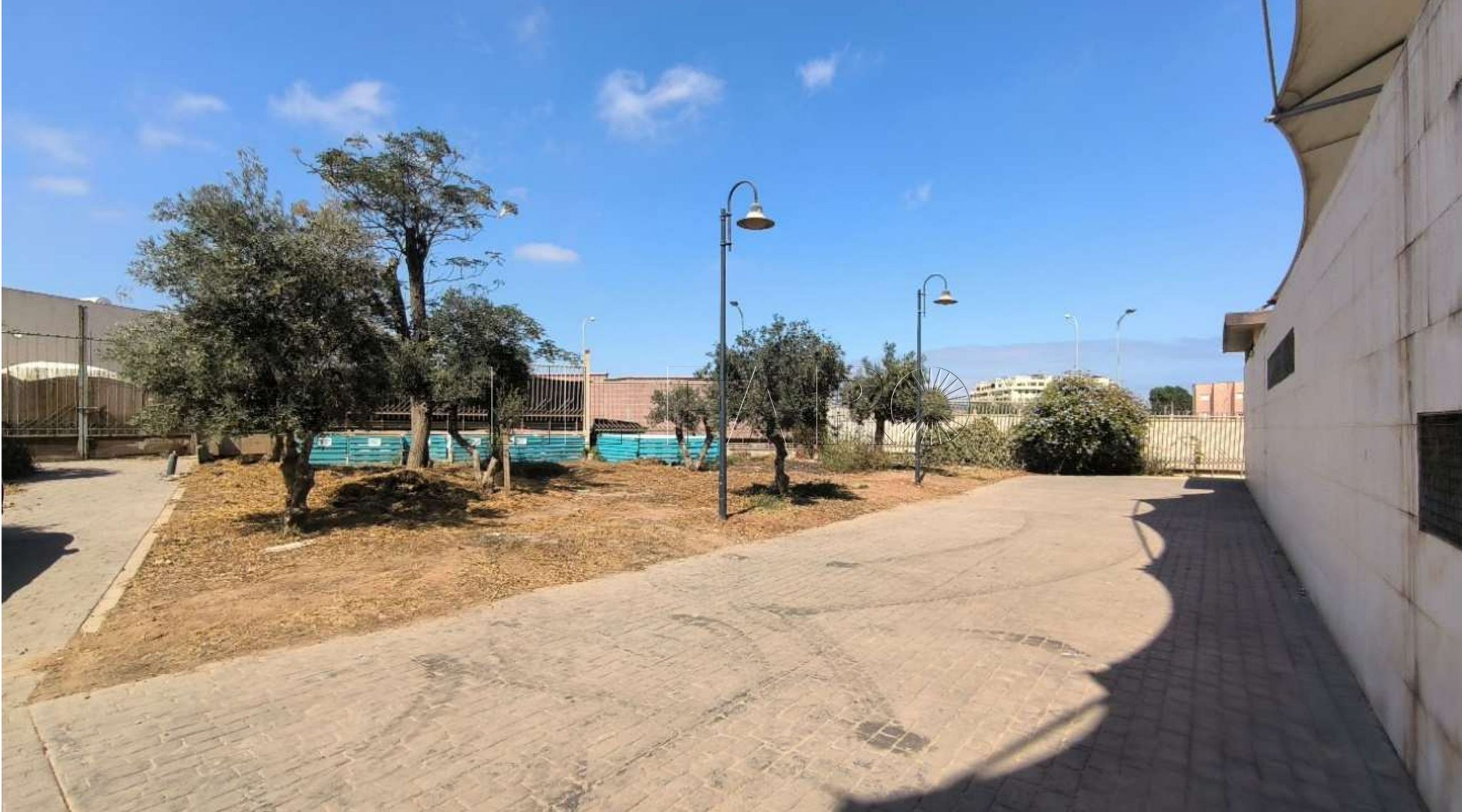 La Ciudad desatasca el proyecto del crematorio de mascotas