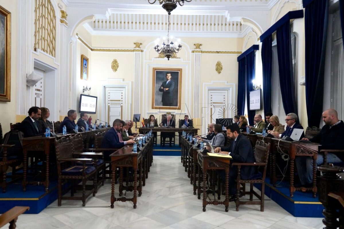 Rechazadas las mociones del PSOE para acometer un plan integral en Las Palmeras y Minas del Rif