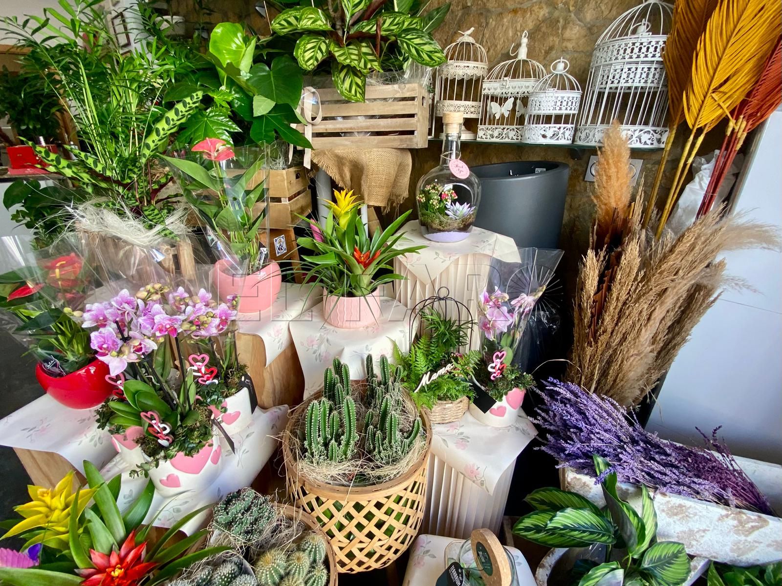 No habrá madre sin flor en el primer domingo de mayo