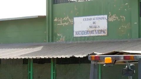 CpM expresa su apoyo al sector cárnico por el cierre prolongado del matadero municipal